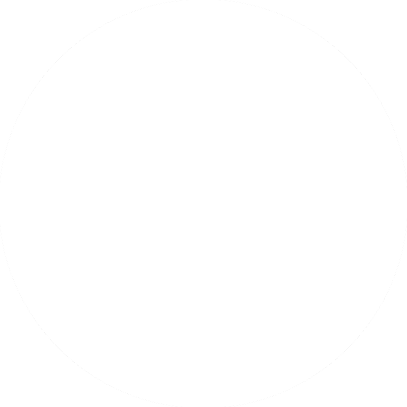 security icon